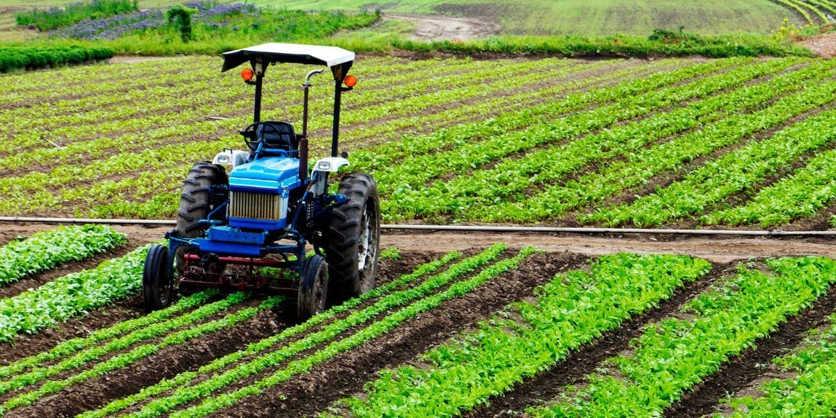 Kompresor Udara di Industri Pertanian